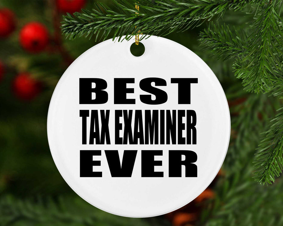 Best Tax Examiner Ever - Circle Ornament