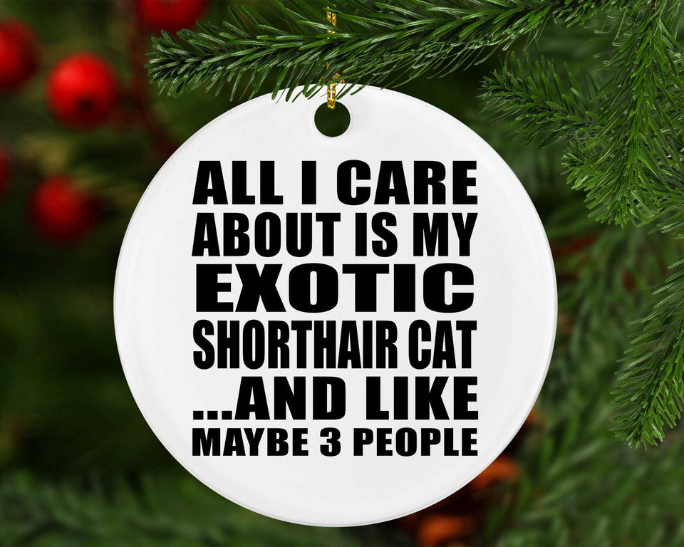 All I Care About Is My Exotic Shorthair Cat - Circle Ornament