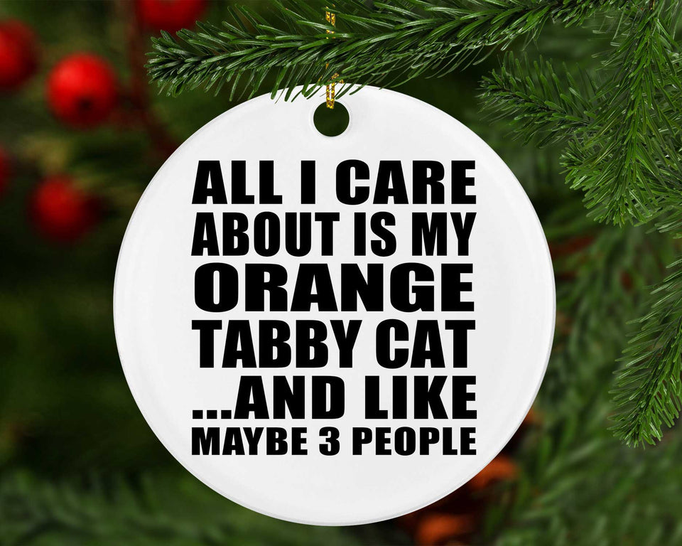 All I Care About Is My Orange Tabby Cat - Circle Ornament