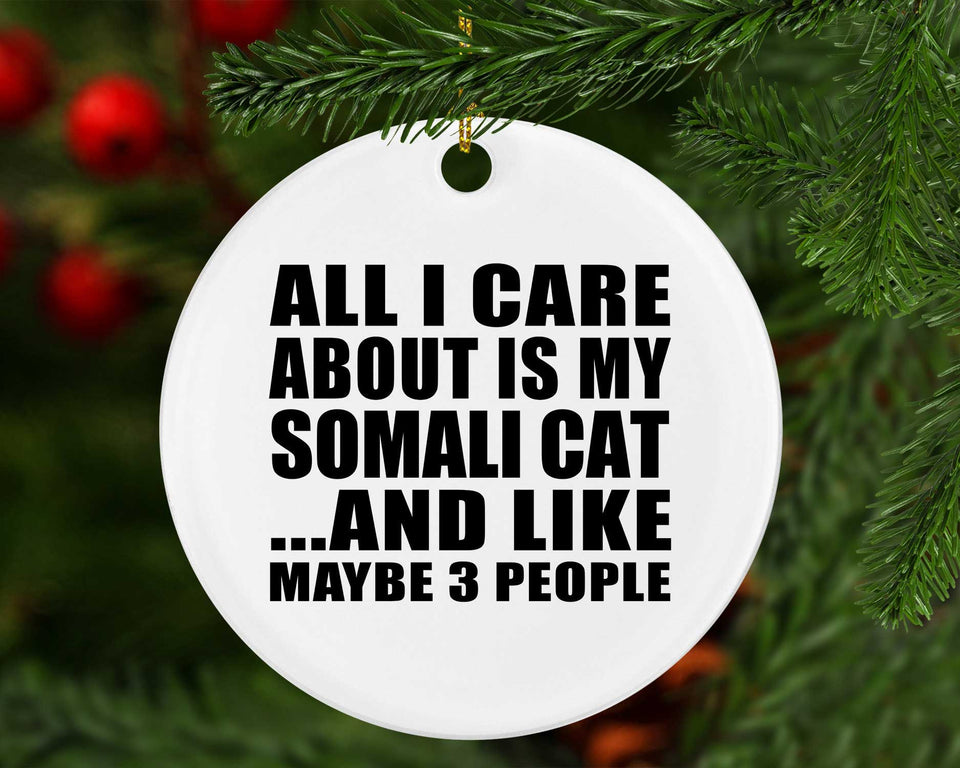 All I Care About Is My Somali Cat - Circle Ornament