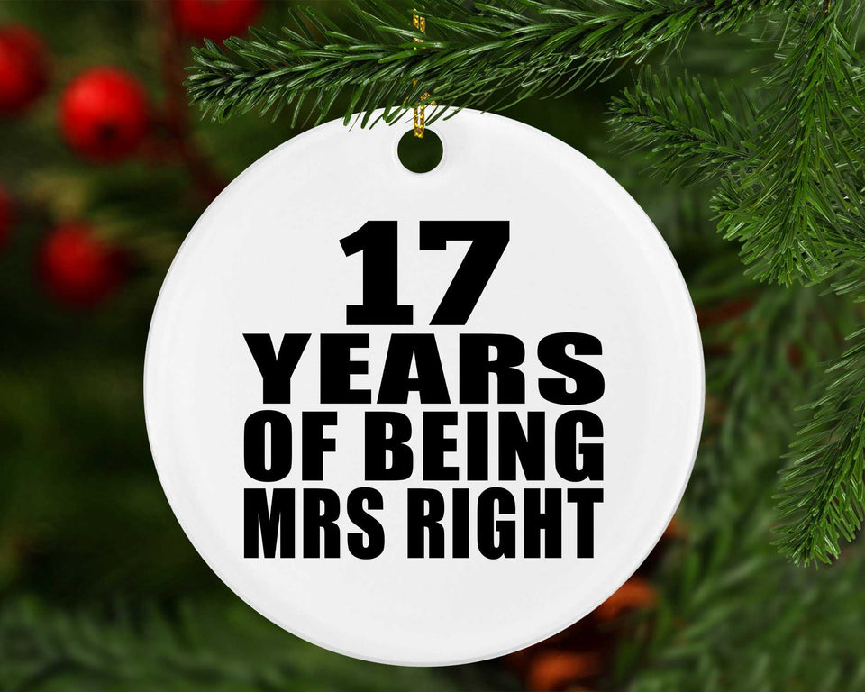 17th Anniversary 17 Years Of Being Mrs Right - Circle Ornament