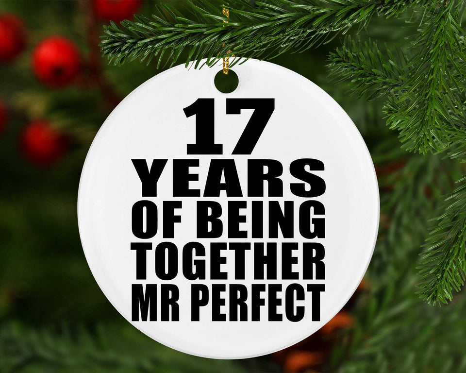 17th Anniversary 17 Years Of Being Mr Perfect - Circle Ornament