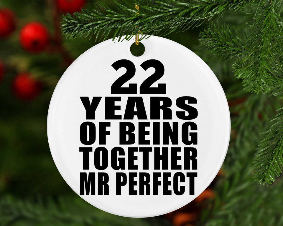 22nd Anniversary 22 Years Of Being Mr Perfect - Circle Ornament