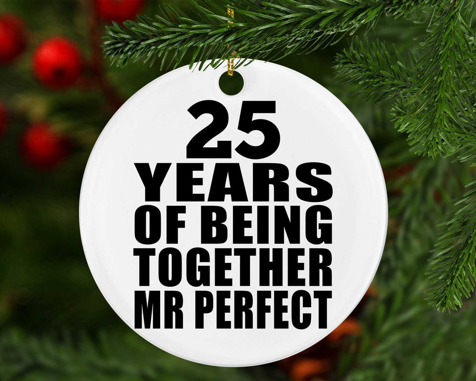 25th Anniversary 25 Years Of Being Mr Perfect - Circle Ornament