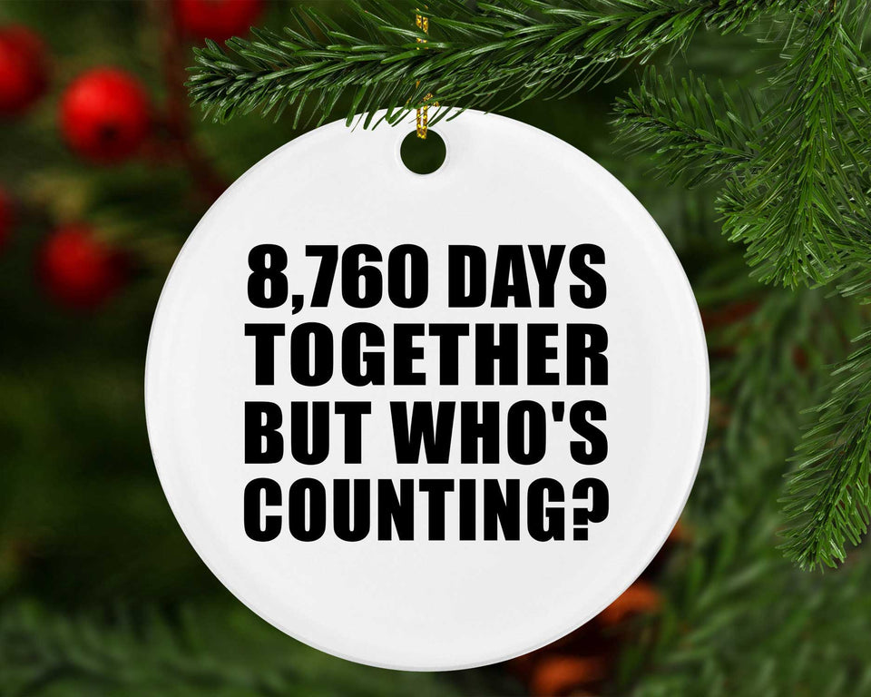 24th Anniversary 8,760 Days Together But Who's Counting - Circle Ornament
