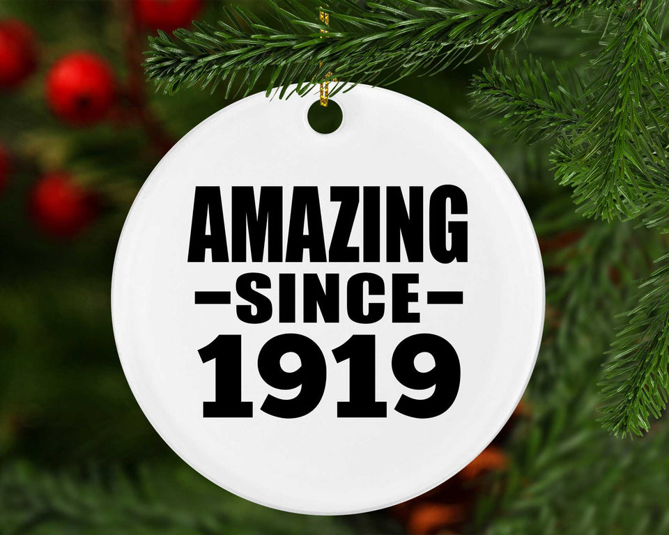 105th Birthday Amazing Since 1919 - Circle Ornament