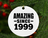 25th Birthday Amazing Since 1999 - Circle Ornament