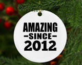 12th Birthday Amazing Since 2012 - Circle Ornament
