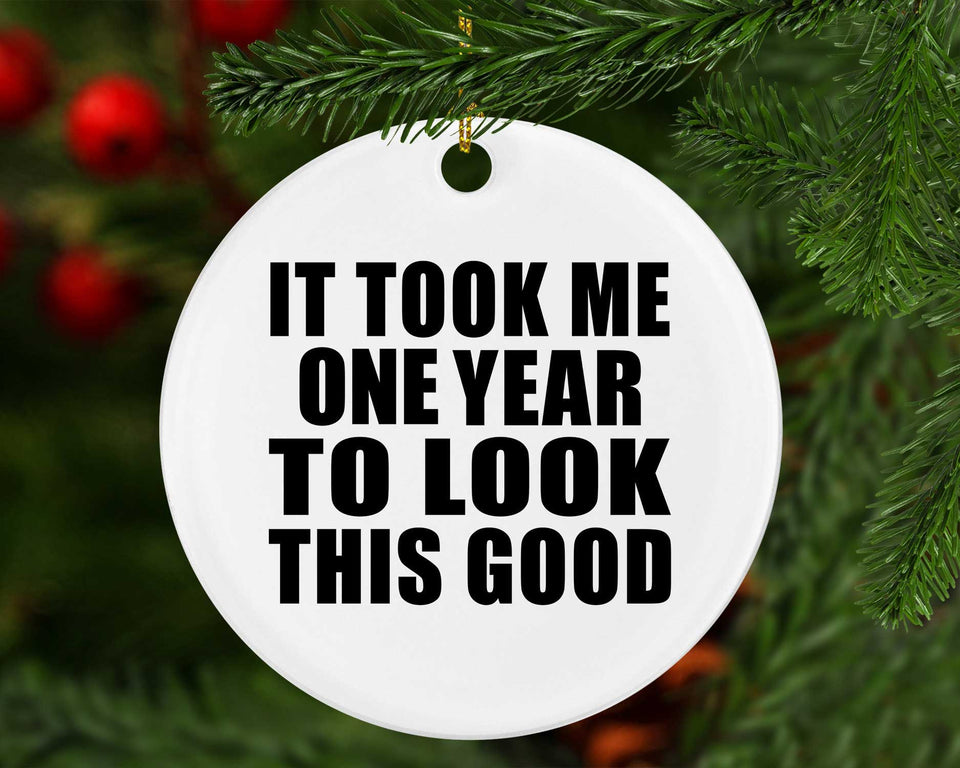 1st Birthday Took Me 1 Year To Look This Good - Circle Ornament