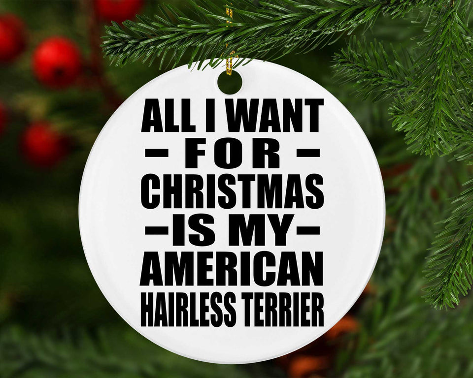 All I Want For Christmas Is My American Hairless Terrier - Circle Ornament