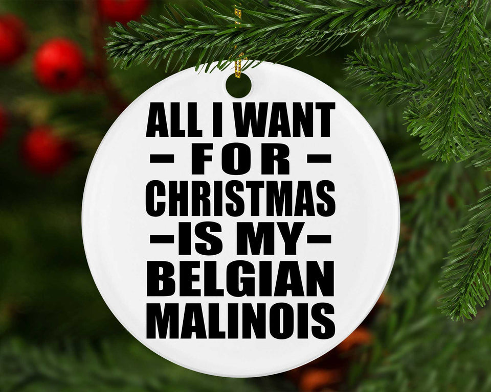 All I Want For Christmas Is My Belgian Malinois - Circle Ornament