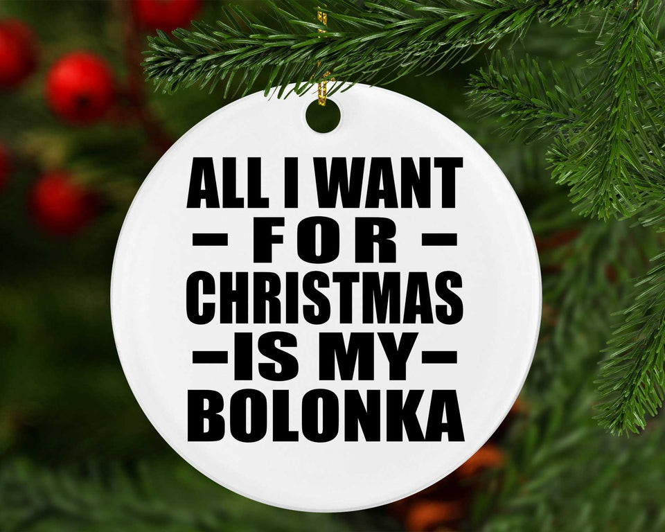 All I Want For Christmas Is My Bolonka - Circle Ornament