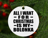 All I Want For Christmas Is My Bolonka - Circle Ornament
