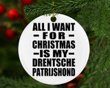 All I Want For Christmas Is My Drentsche Patrijshond - Circle Ornament