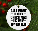 All I Want For Christmas Is My Puli - Circle Ornament