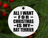 All I Want For Christmas Is My Rat Terrier - Circle Ornament
