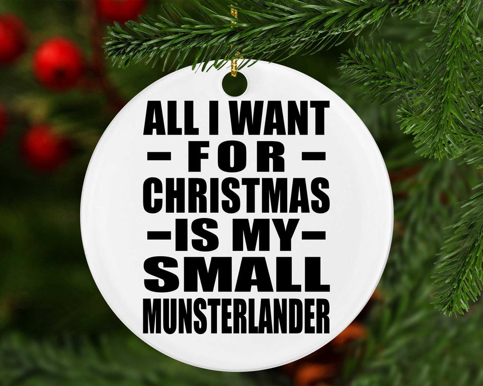 All I Want For Christmas Is My Small Munsterlander - Circle Ornament