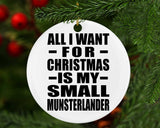 All I Want For Christmas Is My Small Munsterlander - Circle Ornament