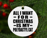All I Want For Christmas Is My Polydactyl Cat - Circle Ornament