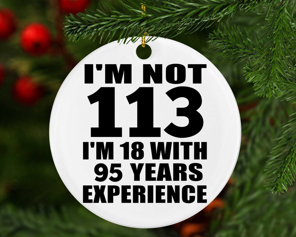 113th Birthday I'm Not 113 I'm 18 With 95 Years Experience - Circle Ornament