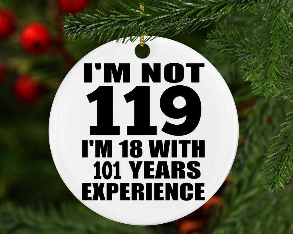 119th Birthday I'm Not 119 I'm 18 With 101 Years Experience - Circle Ornament