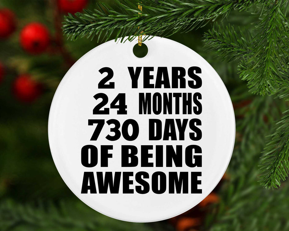 2nd Birthday 2 Years 24 Months 730 Days Of Awesome - Circle Ornament