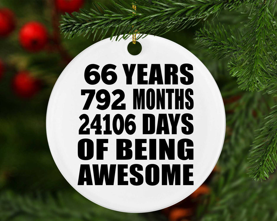 66th Birthday 66 Years 792 Months 24106 Days Of Awesome - Circle Ornament