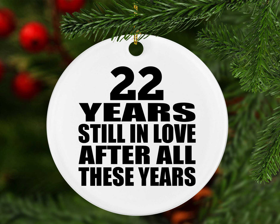 22nd Anniversary 22 Years Still In Love After These Years - Circle Ornament