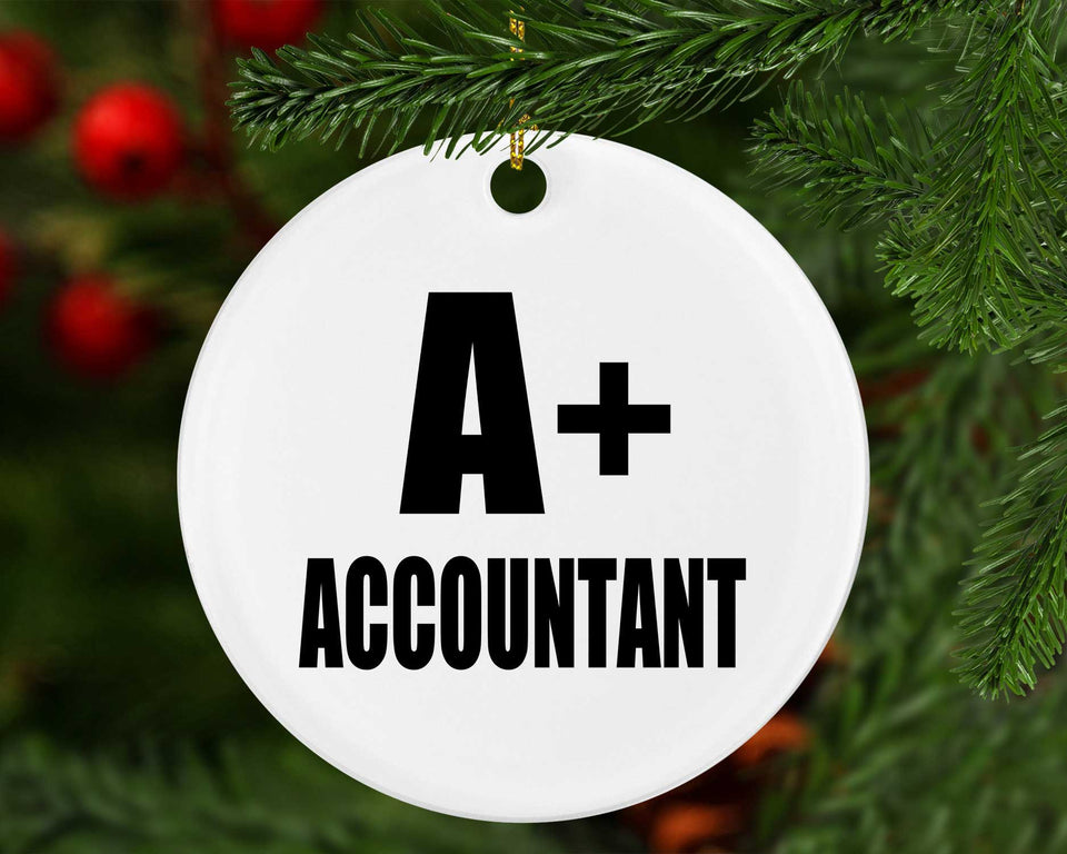 A+ Accountant - Circle Ornament