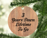 3rd Anniversary 3 Years Down Lifetime To Go - Circle Ornament C