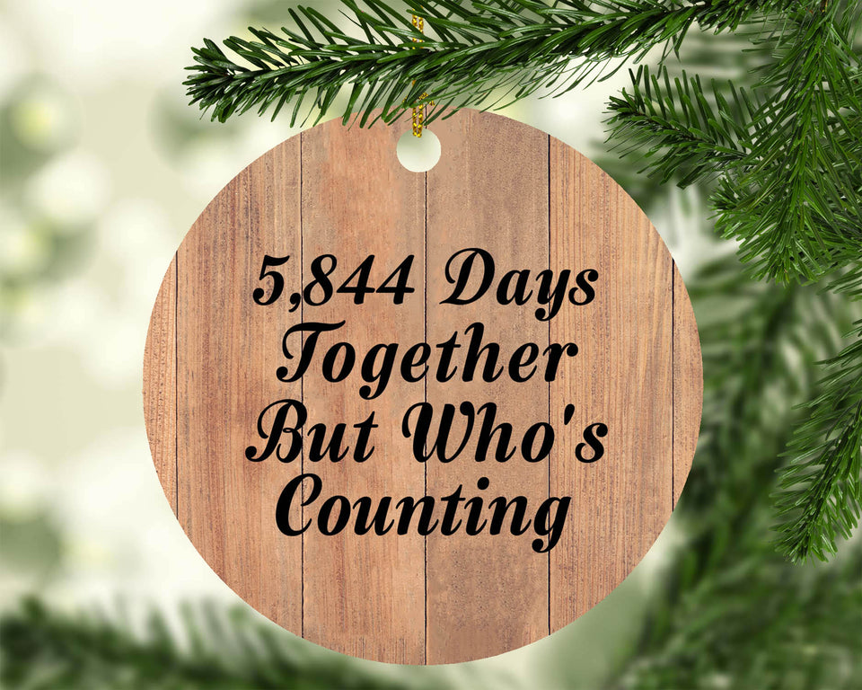 16th Anniversary 5,844 Days Together Who's Counting - Circle Ornament C