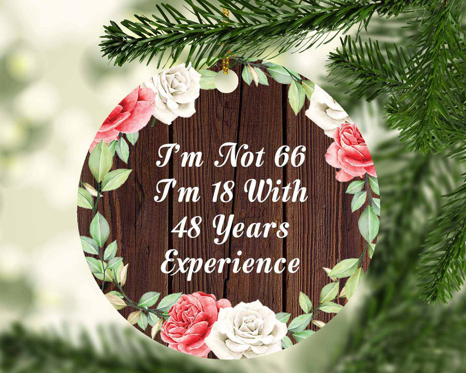 66th Birthday I'm Not 66 I'm 18 With 48 Years Of Experience - Circle Ornament A