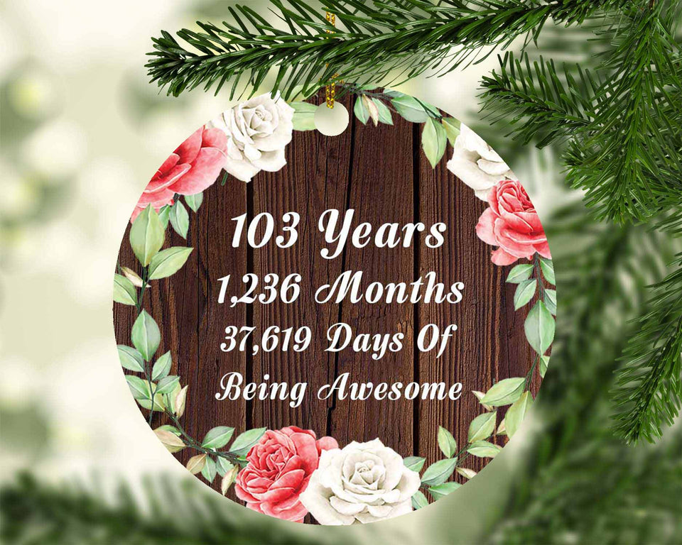 103rd Birthday 103 Years 1,236 Months 37,619 Days Of Awesome - Circle Ornament A