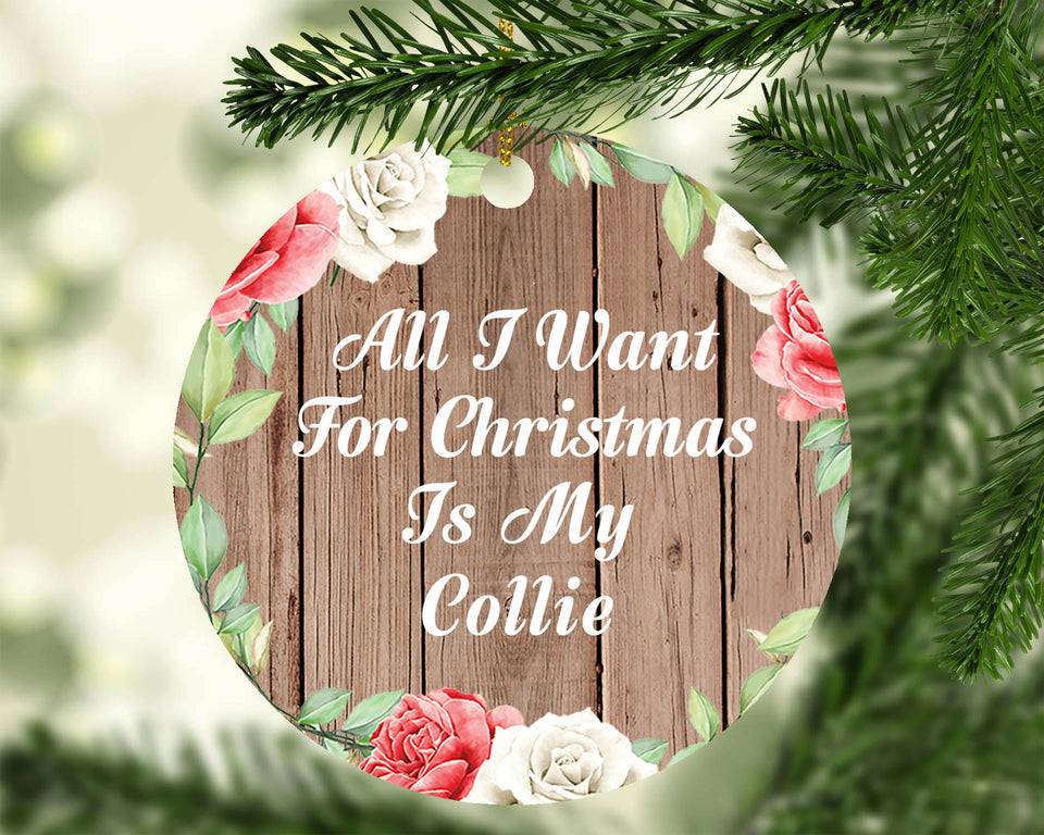 All I Want For Christmas Is My Collie - Circle Ornament B