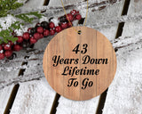 43rd Anniversary 43 Years Down Lifetime To Go - Circle Ornament C