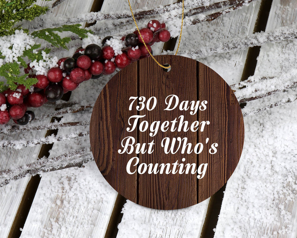2nd Anniversary 730 Days Together Who's Counting - Circle Ornament D