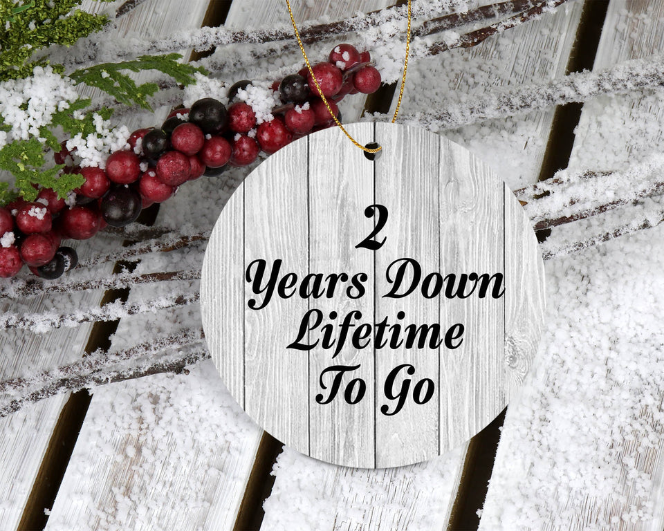 2nd Anniversary 2 Years Down Lifetime To Go - Circle Ornament F