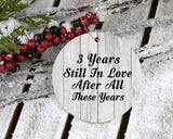 3rd Anniversary 3 Years Still In Love After These Years - Circle Ornament F