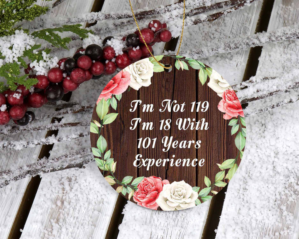 119th Birthday I'm Not 119 I'm 18 With 101 Years Of Experience - Circle Ornament A