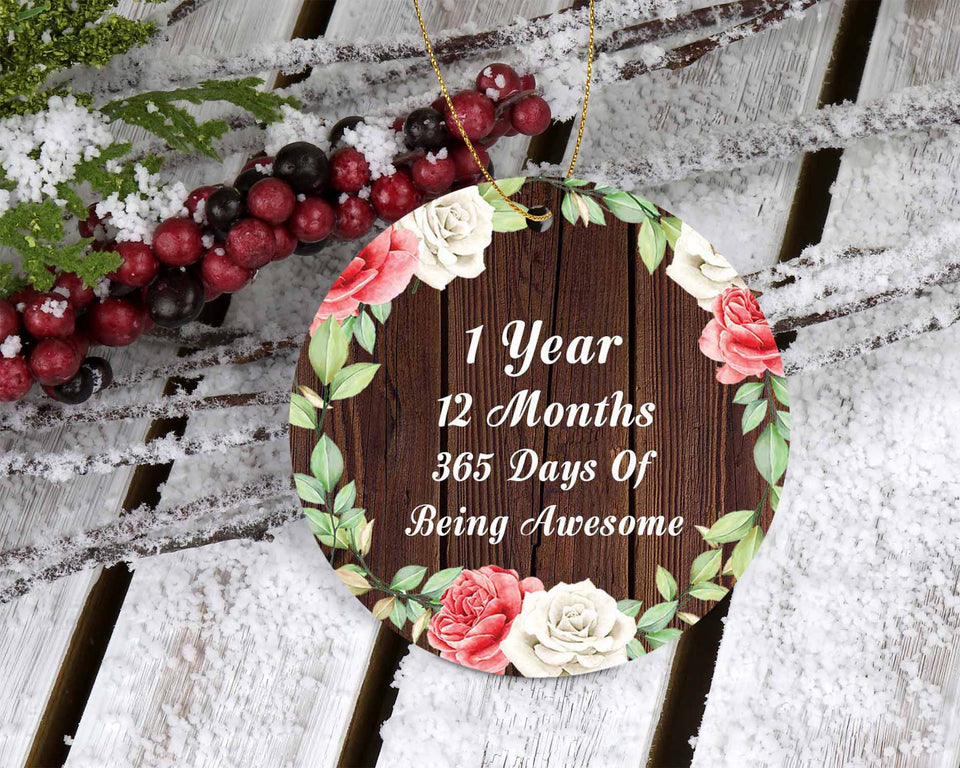 1st Birthday 1 Year 12 Months 365 Days Of Awesome - Circle Ornament A