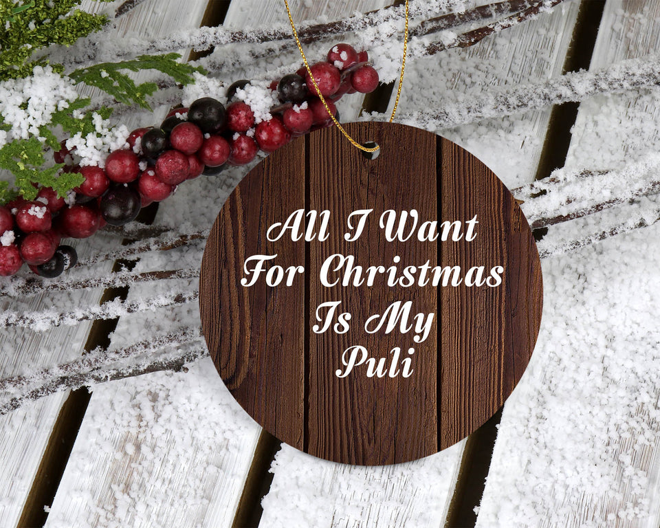 All I Want For Christmas Is My Puli - Circle Ornament D