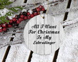 All I Want For Christmas Is My Labradinger - Circle Ornament F