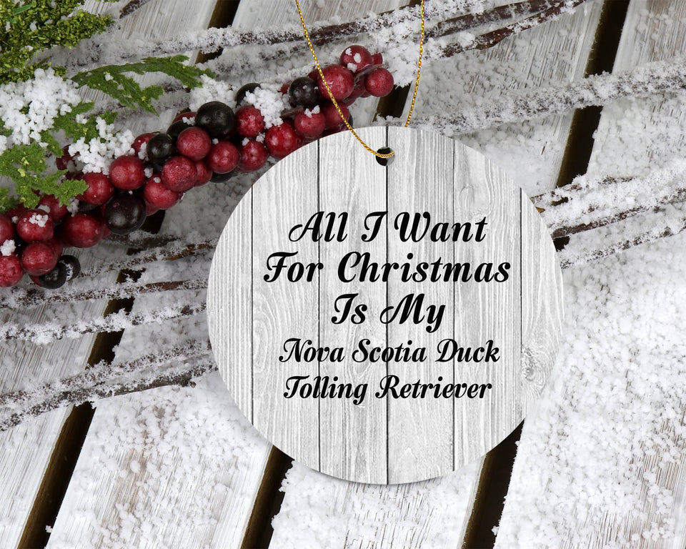 All I Want For Christmas Is Nova Scotia Duck Tolling Retriever - Circle Ornament F