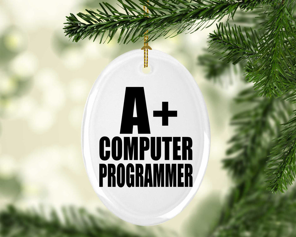 A+ Computer Programmer - Oval Ornament