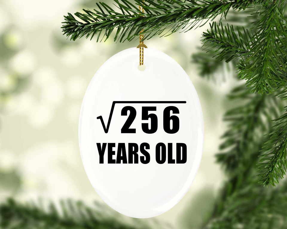 16th Birthday Square Root of 256 Years Old - Oval Ornament