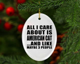 All I Care About Is American Cat - Oval Ornament
