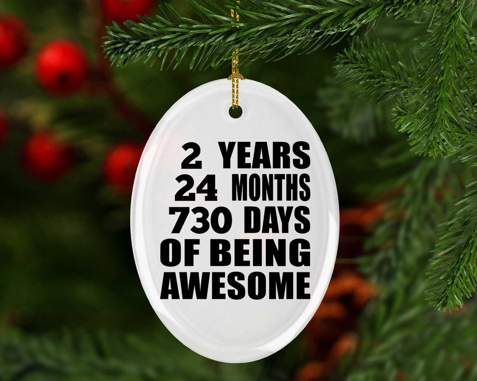 2nd Birthday 2 Years 24 Months 730 Days Of Awesome - Oval Ornament