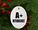 A+ Meteorologist - Oval Ornament