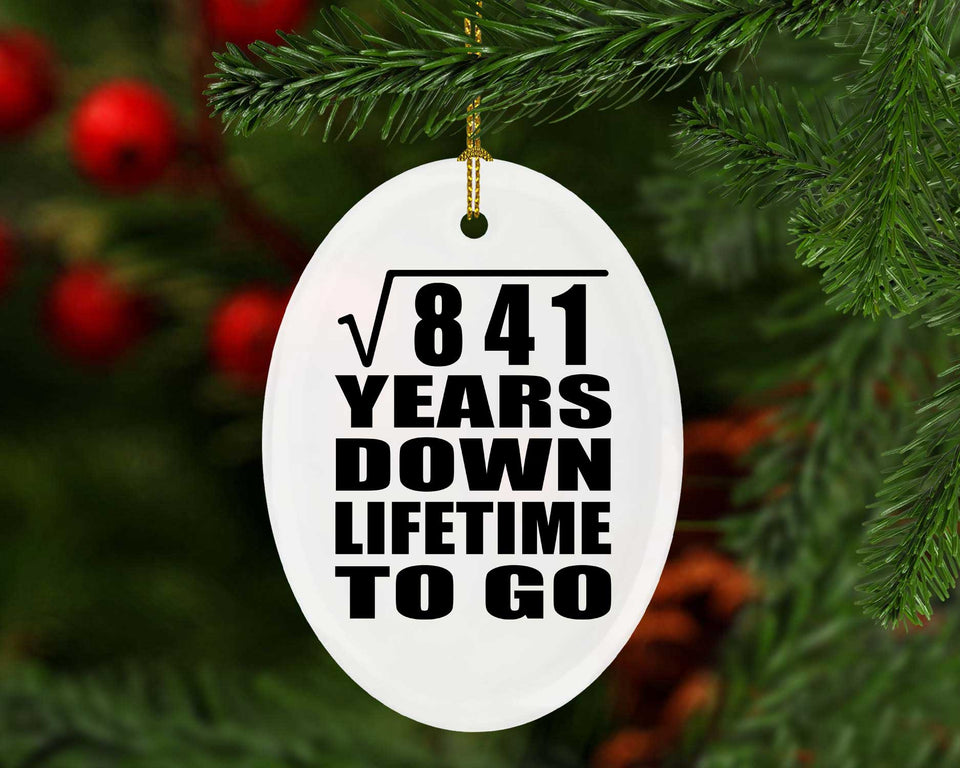 29th Anniversary Square Root of 841 Years Lifetime To Go - Oval Ornament