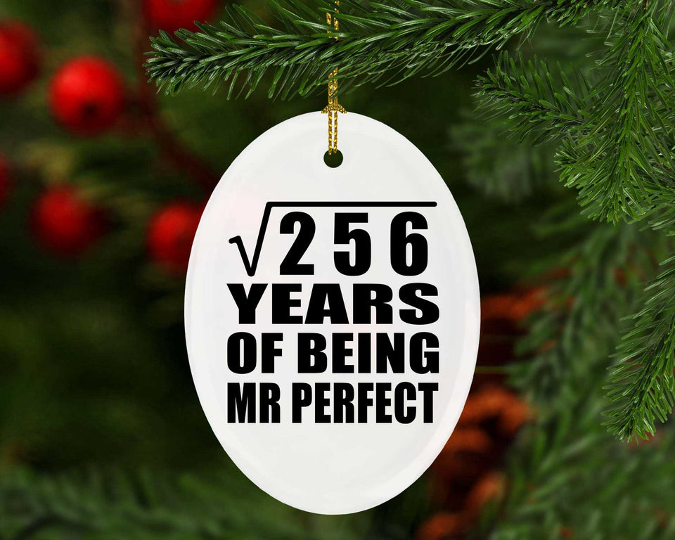 16th Anniversary Square Root of 256 Years of Mr Perfect - Oval Ornament